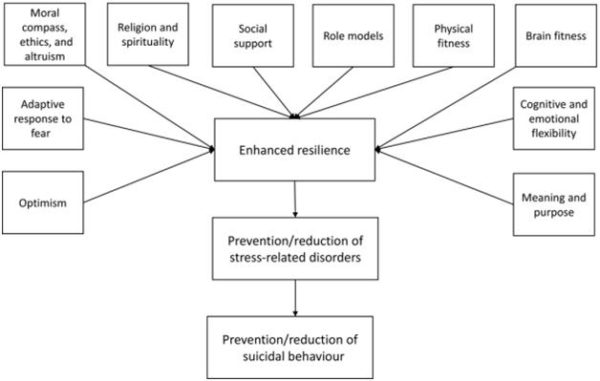 Building Resilience For the Prevention of Suicide - Brant Mental Health ...